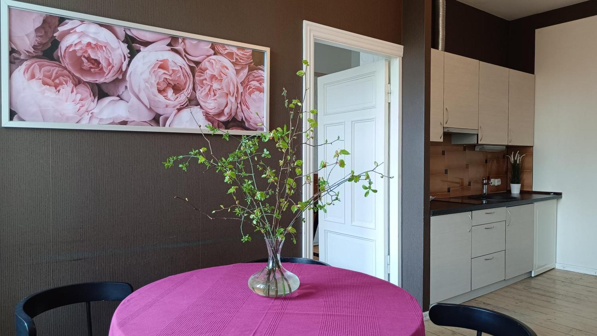 Appartement Julia Lacplesa Riga
